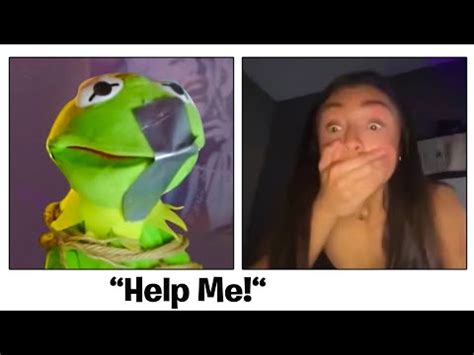 RIP Omegle (The best of Kermit on Omegle) : r/videos